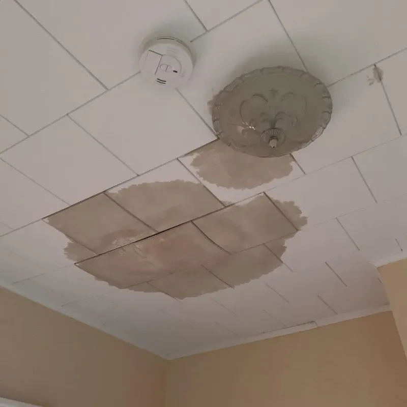 Ceiling Water Damage Repair in Meadowlakes, TX