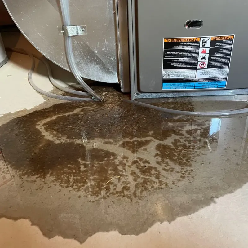 Pipe Burst and Leak Restoration in Meadowlakes, TX
