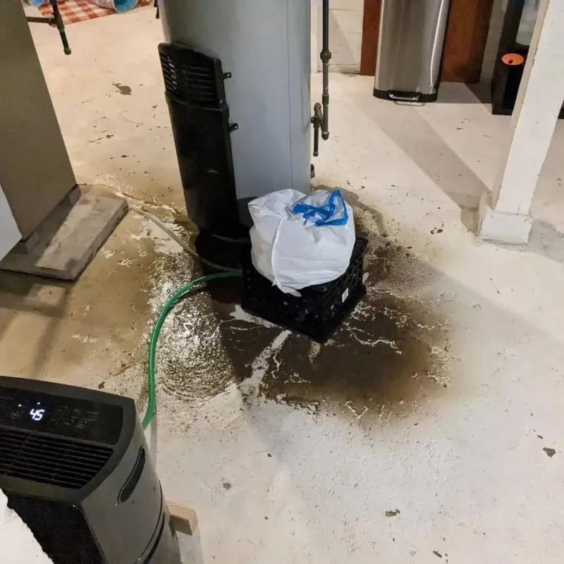 Sewage Backup Cleanup Service in Meadowlakes, TX